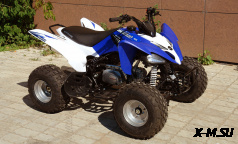 Квадроцикл MOTOLAND (МОТОЛЕНД) 150S