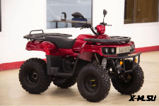 Квадроцикл UNIVERSAL Hammer 2 (200)