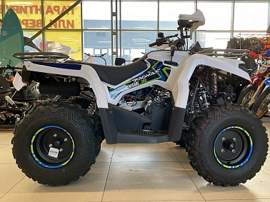 Квадроцикл PROMAX RENEGADE 300 WINCH
