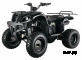Квадроцикл ABM APACHE 150 BASIC