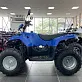 Квадроцикл IRBIS ATV 200 LUX (+лебедка)