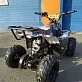 Квадроцикл RAPTOR 110